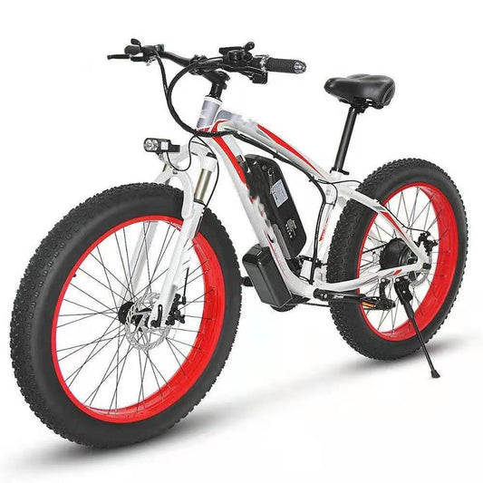 Electric Bicycle-Mountain Bike 21 Speeds